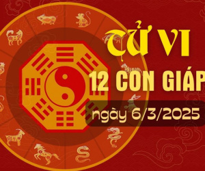 Tử vi thứ Năm ngày 6/3/2025 của 12 con giáp: Sửu may mắn, Dần có duyên lành