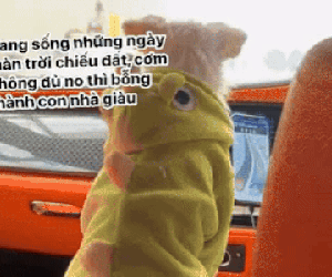 Đi lang thang gặp chủ tịch đi Rolls Royce, chỉ 35 giây đủ chứng minh 'nghèo thì lâu chứ giàu thì mấy chốc'