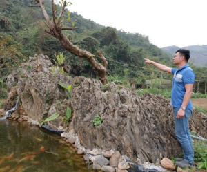 Chiêm ngưỡng khối đá giống gốc cây khổng lồ hóa thạch, được trả giá đến 18 tỷ đồng