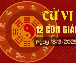 Tử vi 12 con giáp hôm nay - thứ 3 ngày 18/03/2025: Dần có quý nhân dìu dắt, Dậu tài vận hanh thông