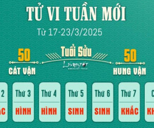 Tử vi tuần mới của 12 con giáp (17-23/3/2025): Sửu vất vả, Tý có lộc