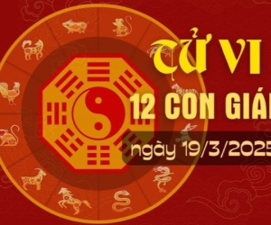 Tử vi 12 con giáp hôm nay - thứ 4 ngày 19/03/2025: Tý thị phi, Dậu lộc lá