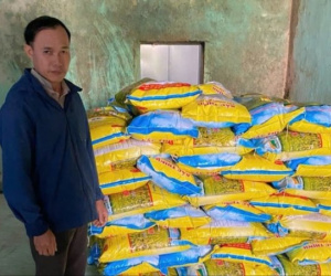 Khởi tố người đàn ông sản xuất 5,5 tấn giống lúa giả