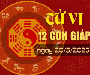 Tử vi thứ 5 ngày 20/3/2025 của 12 con giáp: Tý thông minh, Hợi sắp có tiền