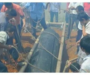 Ra mộ thăm chồng sau 2 ngày chôn, vợ bất ngờ nghe thấy tiếng kêu cứu: Cho tôi ra ngoài!