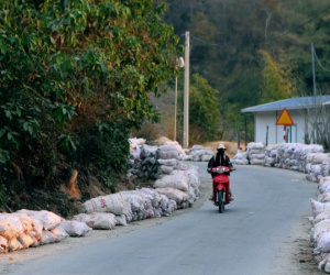 Ảnh bìa bài viết 981062