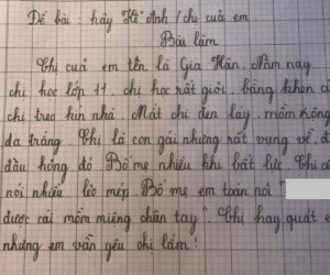 Học sinh tiểu học bóc phốt chị gái 'lẻo mép, vụng về, đụng đâu hỏng đó', đọc đến đoạn kết mà dân tình chết lặng