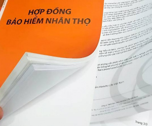 Ảnh bìa bài viết 981665