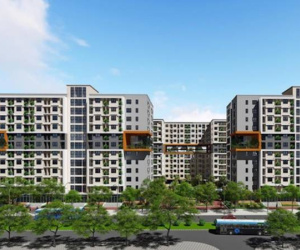 Bán rau ngoài chợ xác nhận thu nhập thế nào để mua căn hộ 18 triệu/m2 ở Hà Nội?