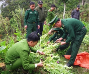 Ảnh bìa bài viết 982112