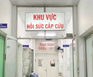 Ảnh minh họa