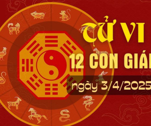 Tử vi thứ 5 ngày 3/4/2025 của 12 con giáp: Sửu có tin vui, Tị hiển hách