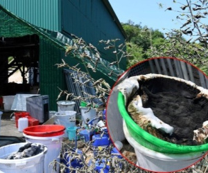 Hình ảnh 'chết chóc' trong kho xưởng sản xuất 1,4 tấn ma túy, mùi hoá chất xộc lên váng đầu