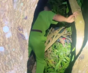 Bé trai lớp 2 ngủ quên trên ngọn xoài cao 6 mét, cả làng náo loạn soi đèn đi tìm