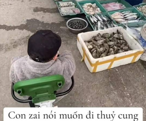 Con muốn đi thủy cung, mẹ đưa đến nơi không ai ngờ, người chê 'thế hệ cợt nhả làm mẹ', người khen 'dạy con hay'