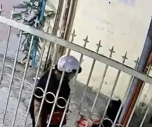 Sự thật đằng sau clip bé trai bị người thân đánh tới tấp vì bán không hết hàng