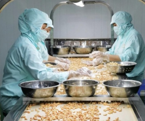 Bị Mỹ áp thuế 46%, doanh nghiệp Việt tức tốc tìm đối tác mới, sang cả Trung Đông