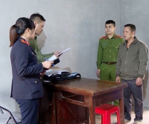 Khởi tố đối tượng giấu súng, đạn trong chuồng lợn