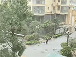 Đi bộ trong cơn giông lốc, người phụ nữ bị tấm tôn bay trúng người