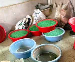 Vụ phá đường dây thuốc giả quy mô toàn quốc: Những hình ảnh ghê người