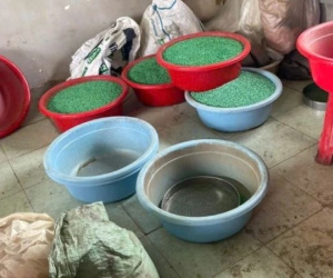 Sản xuất thuốc giả thu lợi 200 tỷ: Đông y chứa chất giảm đau, tây y không có kháng sinh