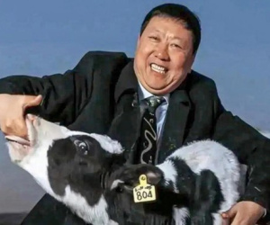 'Bố già ngành sữa' của Trung Quốc làm nên chuyện nhờ phản bội lại lẽ thường