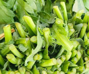 4 loại rau 'không bao giờ bị phun thuốc trừ sâu', nhất là cái số 1
