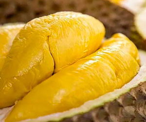 Loại quả phải 'giải cứu' nhiều năm, nay giá còn cao hơn sầu riêng