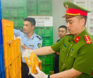 Phát hiện 20 tấn gà ủ muối, nội tạng 'bẩn' tại chợ đầu mối gia cầm ở Hà Nội