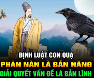 Ảnh bìa bài viết 985221