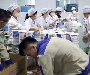 15 ngày sau vụ phanh phui sữa giả: Trách nhiệm quản lý còn bỏ ngỏ