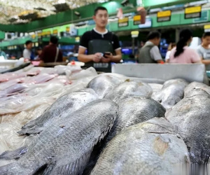 Ra chợ gặp 5 loại cá này, tươi ngon, rẻ mấy cũng đừng mua
