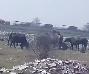 Pakistan di chuyển hàng loạt pháo tự hành tới biên giới Ấn Độ