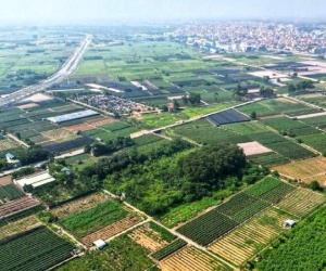 Đất đấu giá tỉnh lẻ có giá trúng cao hơn các huyện ở Hà Nội, vì sao?