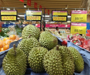 Sầu riêng loạn giá, xuất khẩu giảm sâu