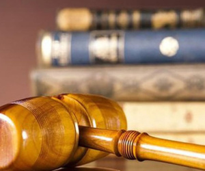 Cú lật kèo của người cha khiến con trai phẫn uất muốn 'sống chết' tại tòa