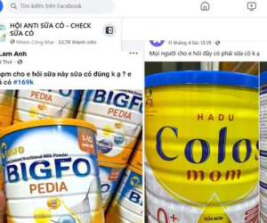 Ảnh bìa bài viết 986849