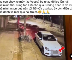 Người đi Mercedes bị tố hái trộm mít giữa đêm khuya: Chủ nhà lên tiếng