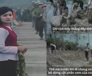 Ảnh bìa bài viết 987210