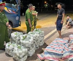 Sơn La phát hiện hơn 300kg rau, củ, quả nhiễm hóa chất độc hại