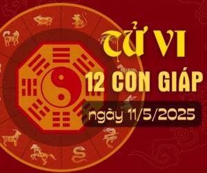 Tử vi Chủ nhật ngày 11/5/2025 của 12 con giáp: Ngọ may mắn, Sửu mất tiền