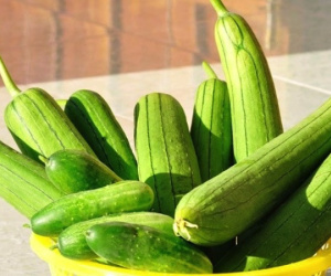 Cách bảo quản mướp để giữ được độ tươi ngon lâu hơn