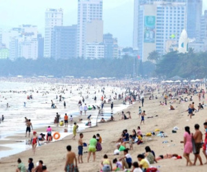 Sứa lửa xuất hiện tại bãi biển Nha Trang, Ban quản lý vịnh phát đi cảnh báo an toàn