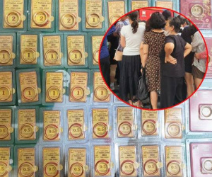 Hơn 20 ngày 'đội mưa, đội nắng' xếp hàng mua vàng, người phụ nữ ở Hà Nội lỗ gần 200 triệu đồng
