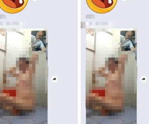 Diễn biến nóng vụ hiệu trưởng gửi ảnh người phụ nữ khỏa thân vào nhóm Zalo chung của trường