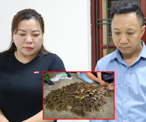 Phá đường dây đa cấp 'khủng': Giao dịch hàng nghìn tỷ đồng, hơn 9.000 người liên quan