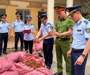 Liên tiếp phát hiện thực phẩm bẩn, hàng giả, hàng lậu tại nhiều tỉnh thành