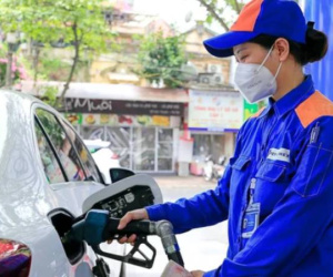 Ảnh bìa bài viết 989162