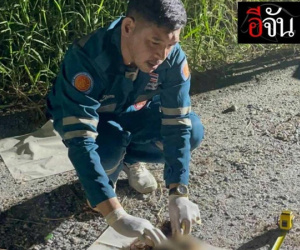 Rúng động Thái Lan: Hộp sọ người phụ nữ tóc đỏ hé lộ vụ mất tích ở Pattaya