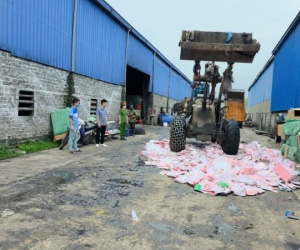 Lý do gần 2.000 con gấu bông Baby Three bị tiêu hủy